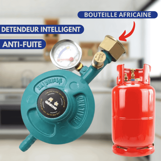 SYSTEME SÉCURISÉ POUR MAISON