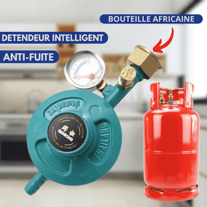 SYSTEME SÉCURISÉ POUR MAISON